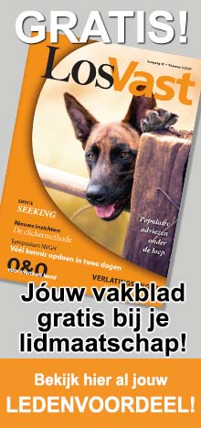 LosVast-advertentie