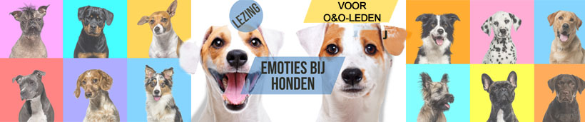 Verschillende honden