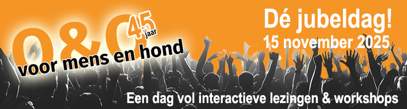 Feestende mensen - jubeldag