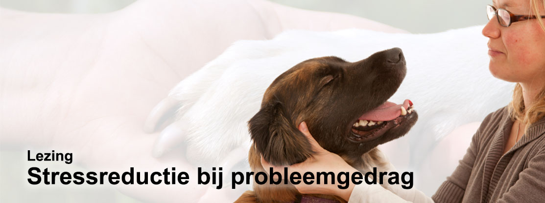 Lezing Stressreductie