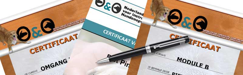 Certificaten