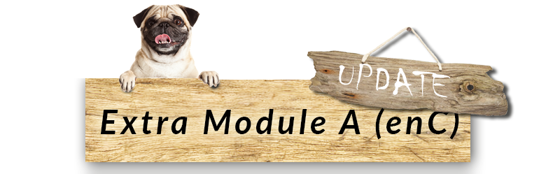 Extra Module A en C