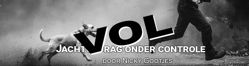 Hond jaagt jogger na