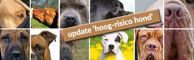 Update HRH