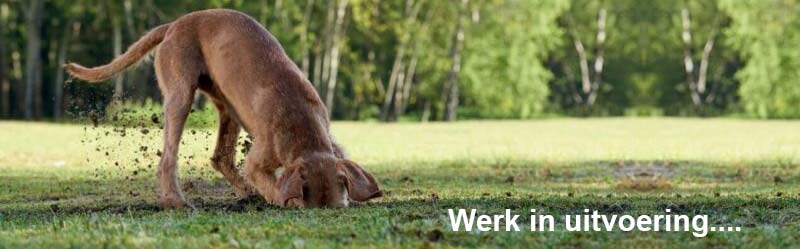 Werk in uitvoering
