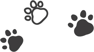 doodle van hondenpootjes